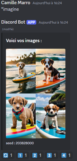 Image montrant les images générées grâce à la commande